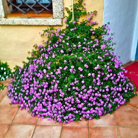 Capriccioli Готель