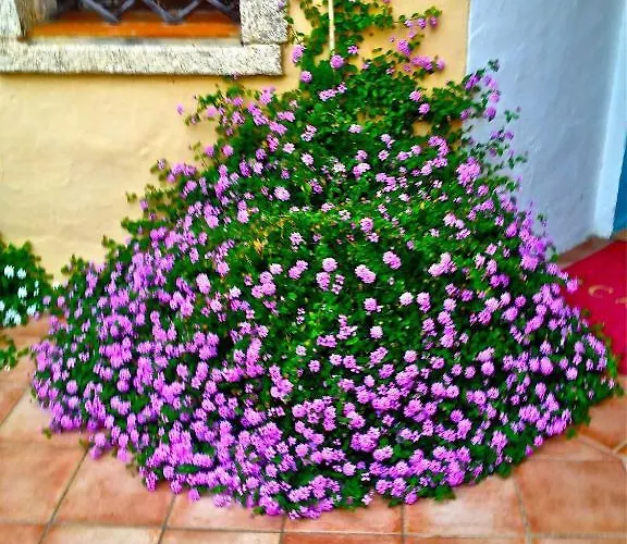 Capriccioli فندق